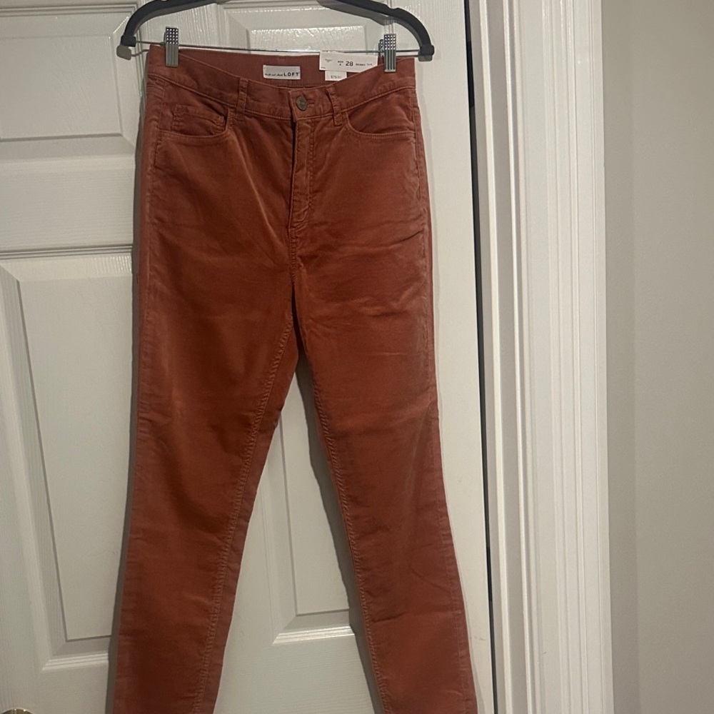 LOFT Women's Terracotta Straight Leg Jeans